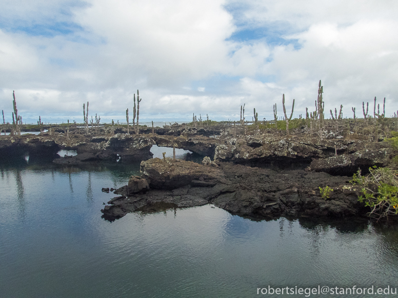 galapagos